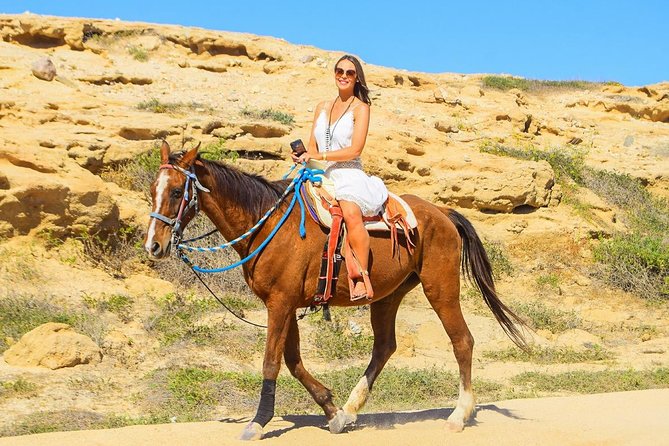 Horseback Riding Tour in Los Cabos - The Desert-to-Coast Ride: Cacti, Soft Sand, and Whale Season Odds