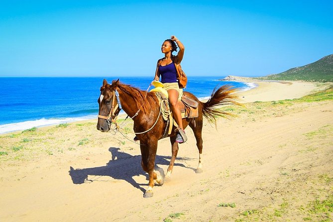 Horseback Riding Tour in Los Cabos - How Long You’re Actually Riding (and Why Check-In Time Adds Up)