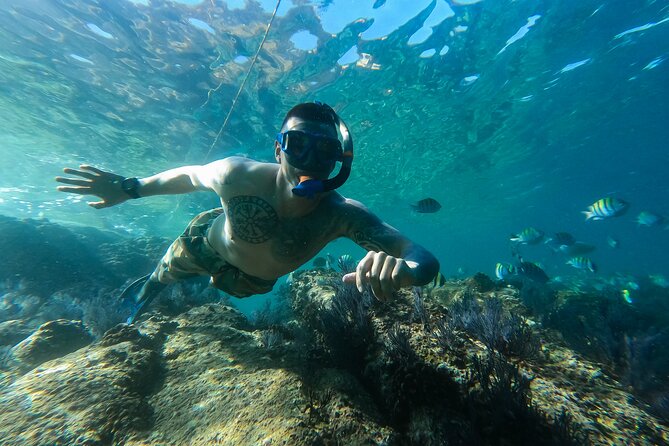 Kayak Expedition to the Arch of Cabo San Lucas, Lovers Beach & Snorkel - Pelican Rock Snorkeling: Where the Reef Life Happens