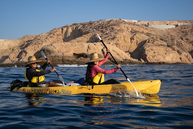 Kayak from Viudas Beach to Chileno Bay & Snorkel + Beach Time - Who This Tour Fits Best