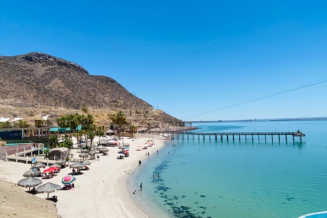 La Paz, Balandra and Todos Santos from CABO and San Jose - Price and Value: Is $119.48 a Good Deal?