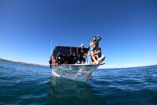 La Paz Whale Shark Snorkeling Tour and Lunch From Los Cabos - Safety and Comfort: Wetsuits, Fins, and Real-World Water Conditions