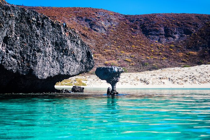 La Paz World Class Snorkeling in Balandras Hidden Beaches - Balandra’s bays: snorkeling, hidden coves, and the mushroom rock question