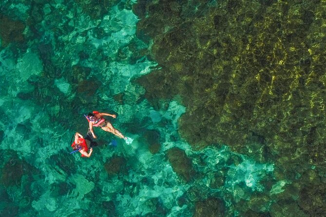 La Paz World Class Snorkeling in Balandras Hidden Beaches - Food, open bar, and why the crew can make or break the day