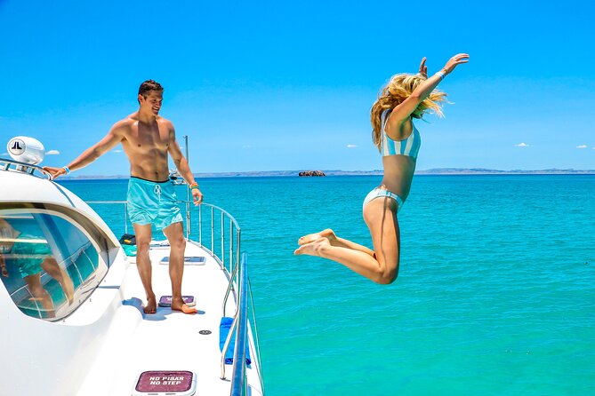 La Paz World Class Snorkeling in Balandras Hidden Beaches - Price and logistics: is $219 worth it for you?