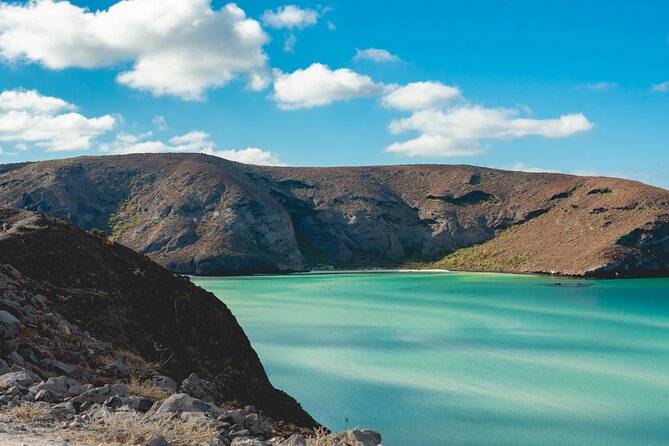 La Paz World Class Snorkeling in Balandras Hidden Beaches - Who should book this Balandra snorkel day (and who might skip)