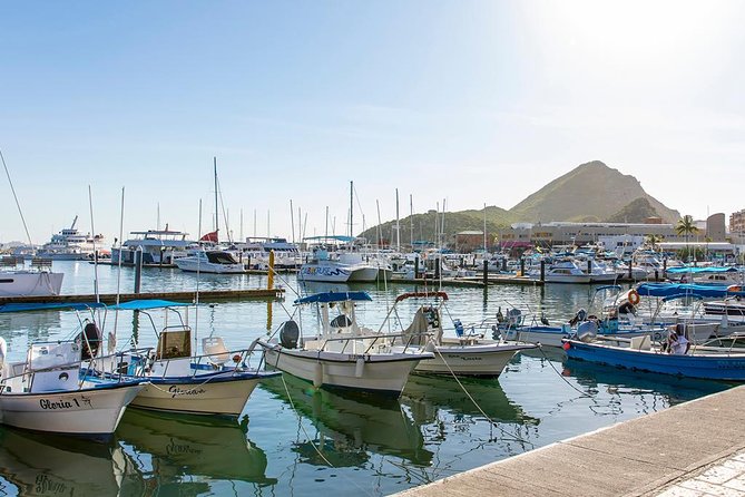Land’s End Experience – Arch, Beaches & Marine Life - Stop 3: Cabo San Lucas downtown with 1 hour of free time