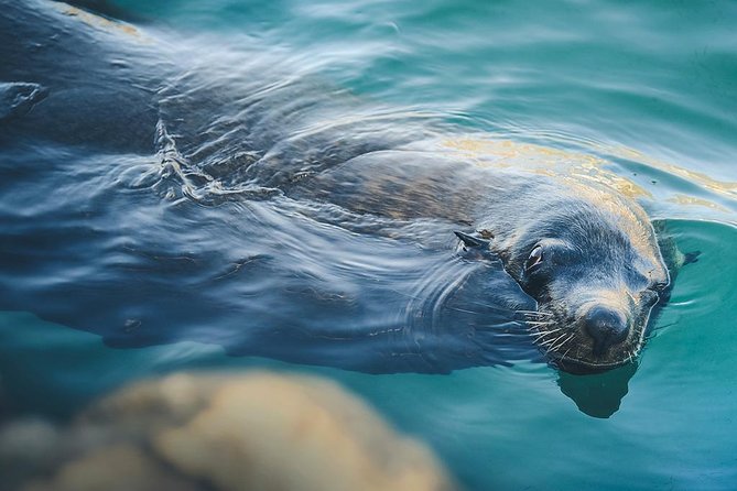 Land’s End Experience – Arch, Beaches & Marine Life - Stop 2 at Pelican Rock: optional beach drop-off and the captain’s decision