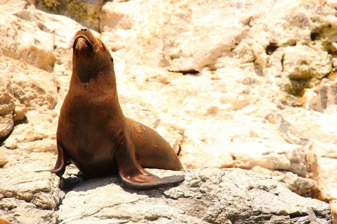 Land's End Sightseeing Boat Tour in Los Cabos - Stop 2: Playa de los Amantes (Lover’s Beach) and the beach time question