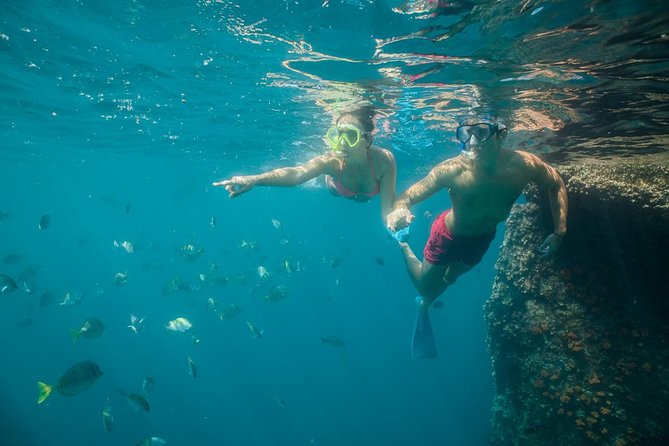 Land's End & Snorkel Tour in a Glass Bottom Boat (VisitA Cabo) - Entering the Marina: Finding the Right Dock for Land’s End