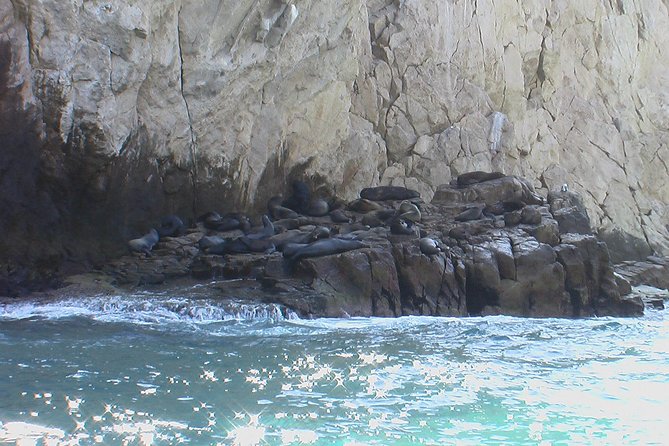 Land's End Tour Basic - Cabo San Lucas highlights, without turning it into a full-day grind