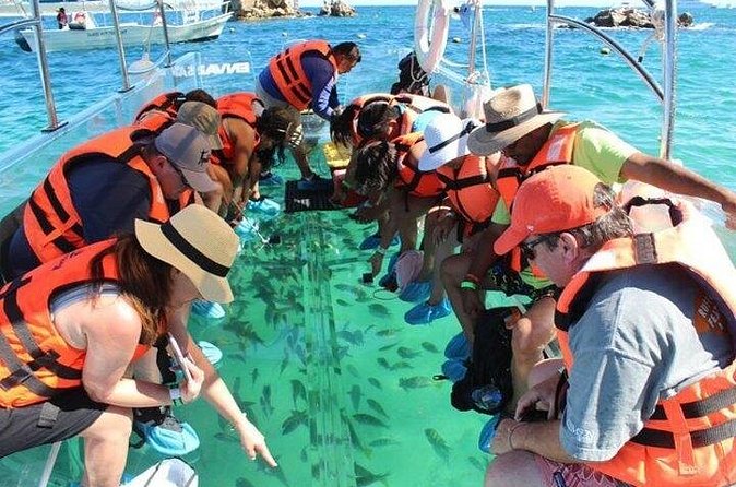 Lands End Tour by Clear Boat in Cabo San Lucas - Neptune’s Finger and the Baja Upside-Down View