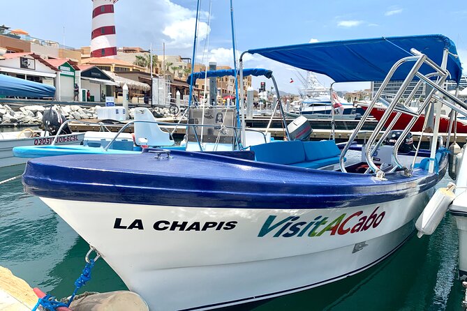 Land's End Tour in a Glass Bottom Boat - A 45-Minute Route That Hits El Arco, Land’s End, and the Beaches