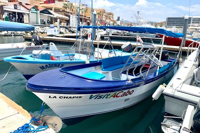 Land's End Tour in a Glass Bottom Boat - Meeting Point on Blvd. Paseo de la Marina: How to Get On Without Stress