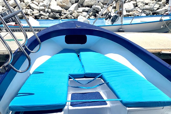 Land's End Tour in a Glass Bottom Boat - Glass-Bottom Viewing: Coral, Fish, and What You’ll Actually See
