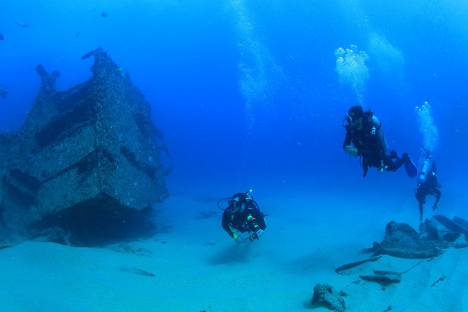 Learn to Scuba Dive in Cabo San Lucas with PADI - Key points before you go