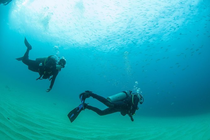 Learn to Scuba Dive in Cabo San Lucas with PADI - Pelican Rock and El Arco: what you actually experience in the ocean