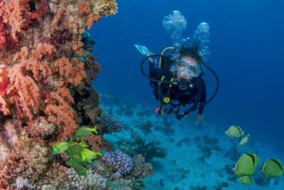 Learn to Scuba Dive in Cabo San Lucas with PADI - The boat ride: calm cruising and bathroom comfort