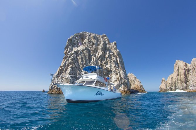 Learn to Scuba Dive in Cabo San Lucas with PADI - Health rules and who this fits best