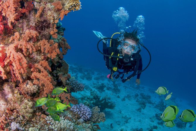Learn to Scuba Dive in Cabo San Lucas with PADI - The boat ride: calm cruising and bathroom comfort
