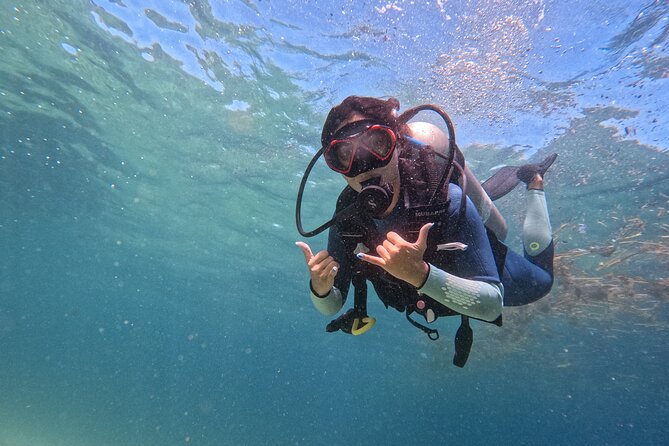 Los Cabos 1 tank dive to Land’s End (Certified Divers) - Key Things I Think You’ll Notice Right Away