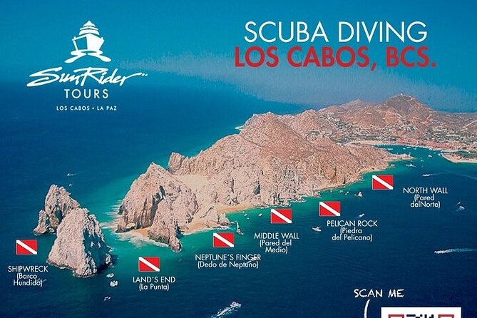 Los Cabos 1 tank dive to Land’s End (Certified Divers) - What You Might See Along the Way: Middle Wall, North Wall, and Pelican Rock