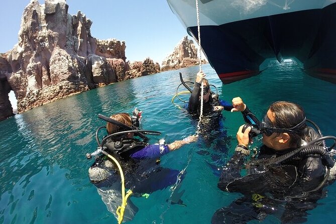Los Cabos 1 tank dive to Land’s End (Certified Divers) - Your First Real Underwater Target: The Sea of Cortez at Land’s End