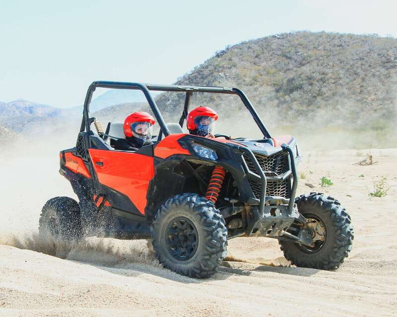 Los Cabos: 2 in 1 Combo Tour - Key Things You’ll Notice Right Away