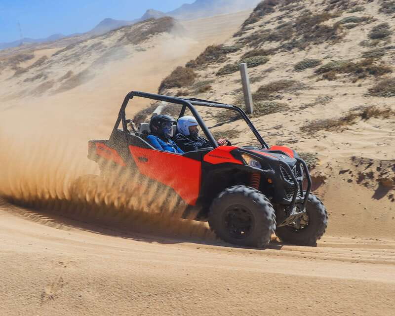 Los Cabos: 2 in 1 Combo Tour - Price Check: Is $143 Worth It in the Real Cost Picture?