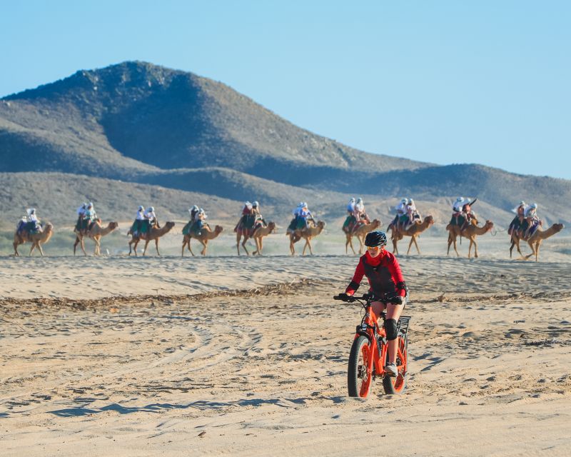 Los Cabos: 2 in 1 Combo Tour - Guide Quality and Small Groups: Why Up to 10 People Helps