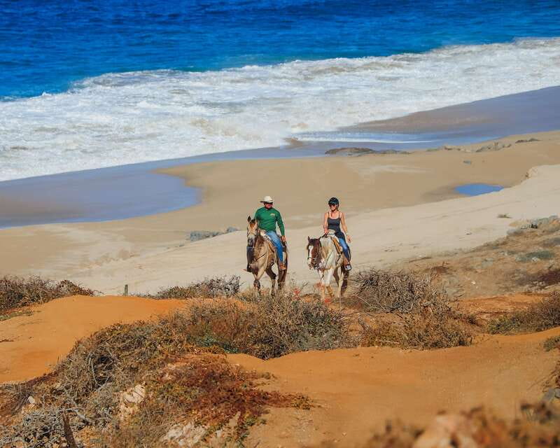 Los Cabos: 2 in 1 Combo Tour - Who This Cabo Combo Tour Fits Best