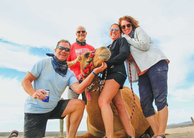 Los Cabos: 2 in 1 Combo Tour - Camel or Horseback on the Beach: Easy Pace, Real Cabo Views