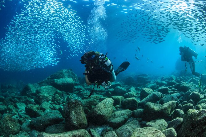 Los Cabos 2 tanks dive to The Corridor (Certified divers) - Tank two: shallower water, different momentum