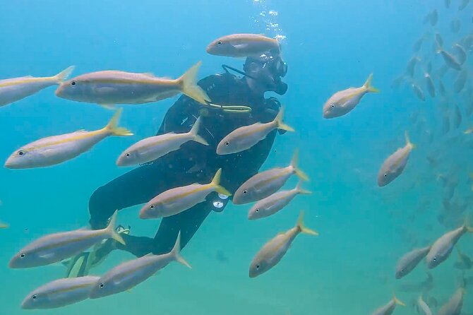 Los Cabos 2 tanks dive to The Corridor (Certified divers) - Price and value: what $147 covers (and what to budget for)