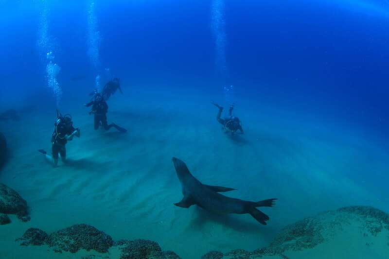 Los Cabos 3-Hour Certified Scuba Diving Tour - Two underwater stops: what those site names tell you