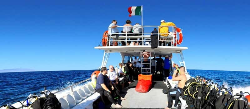 Los Cabos 3-Hour Certified Scuba Diving Tour - How the itinerary flows (and what to pay attention to)