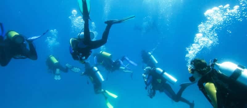 Los Cabos 3-Hour Certified Scuba Diving Tour - Price and extras: where the real cost can land