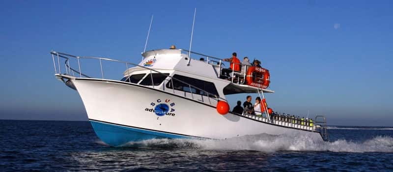 Los Cabos: 3-Hour Introductory Scuba Diving Adventure - Cabo San Lucas in the Sea of Cortez: why this trip feels worth it