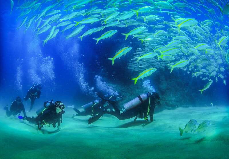 Los Cabos: 3-Hour Introductory Scuba Diving Adventure - The skills part that actually builds confidence (pool session + shallow practice)