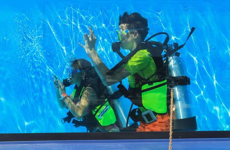 Los Cabos: 3-Hour Introductory Scuba Diving Adventure - One tank ocean session: what you’ll see off the Cabo coast