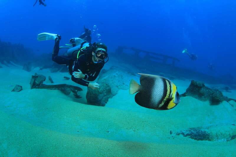 Los Cabos: 3-Hour Introductory Scuba Diving Adventure - The best fit: who will enjoy this the most