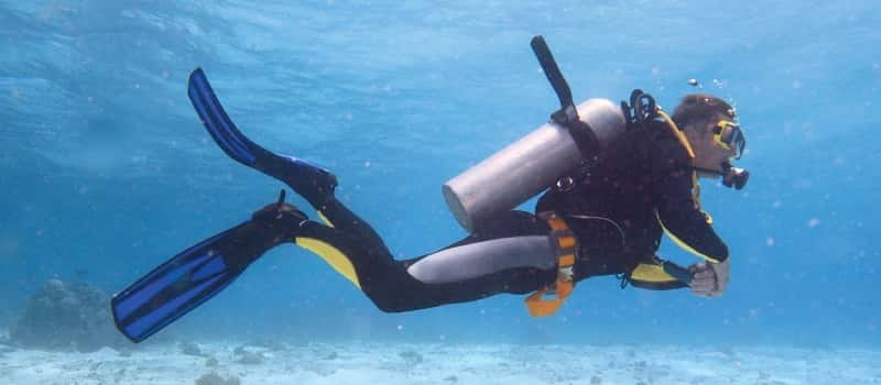 Los Cabos: 3-Hour Introductory Scuba Diving Adventure - Who should skip it (health and mobility limits)