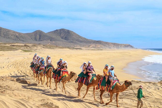 Los Cabos 3 in 1 Adventure: Camel Ride, Lunch and Arch Boat Tour - Key Highlights You’ll Actually Feel