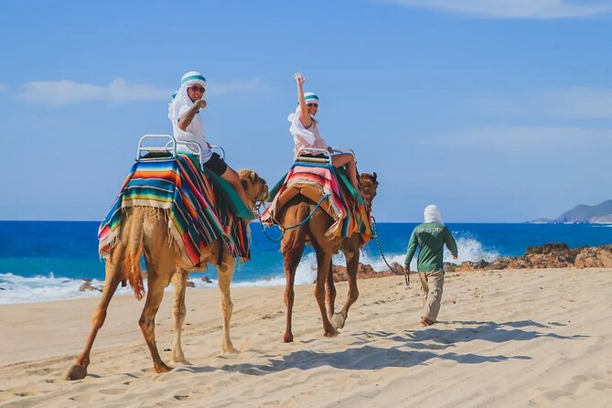 Los Cabos 3 in 1 Adventure: Camel Ride, Lunch and Arch Boat Tour - Cabo Fees and the Real Price Check: What You Should Budget