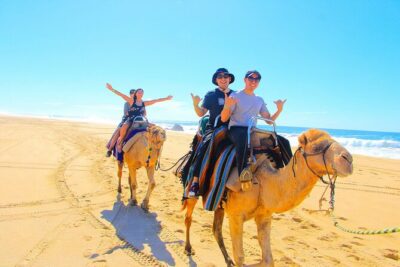Los Cabos 3 in 1 Adventure: Camel Ride, Lunch and Arch Boat Tour - Transparent Boat to El Arco: The Best “Wow” Moment on the Water