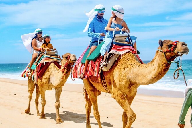 Los Cabos 3 in 1 Adventure: Camel Ride, Lunch and Arch Boat Tour - Who This 3-in-1 Adventure Fits Best (And Who Should Reconsider)