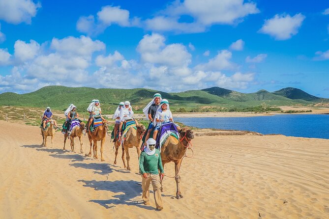 Los Cabos 3 in 1 Adventure: Camel Ride, Lunch and Arch Boat Tour - Should You Book This Los Cabos 3-in-1 Adventure?