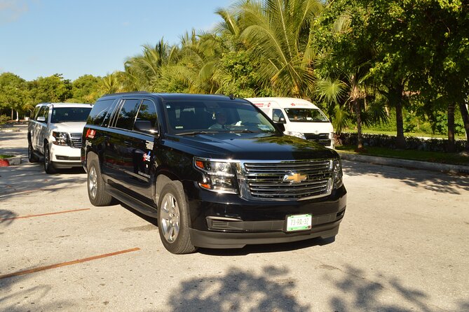 Los Cabos Airport Transportation - Private Los Cabos Airport Transfer: The Point Is Fewer Headaches
