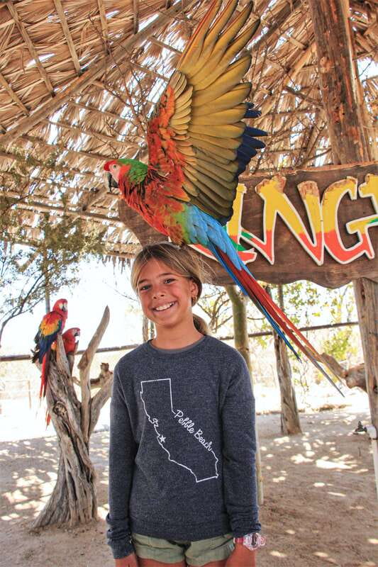 Los Cabos: Animal Encounter & Aqua Park Adventure - Key highlights worth your attention