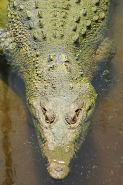 Los Cabos: Animal Encounter & Aqua Park Adventure - Should you book Los Cabos: Animal Encounter & Aqua Park Adventure?